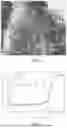 Fig. 03 - Fabrication method and application of cobalt and nitrogen co-doped three-dimensional structured carbon matrix