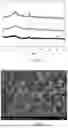 Fig. 04 - Fabrication method and application of cobalt and nitrogen co-doped three-dimensional structured carbon matrix