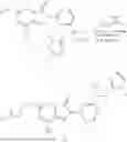 Fig. 735 - COMPOUNDS, COMPOSITIONS AND METHODS OF TREATING CANCER