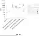 Fig. 25 - MODIFIED MENINGOCOCCAL FHBP POLYPEPTIDES