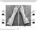 Fig. 02 - PLATFORM TECHNOLOGY FOR TREATMENT OF INFLAMMATORY, IMMUNOLOGICAL AND/OR AUTOIMMUNOLOGICAL DISEASES