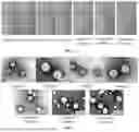 Fig. 02 - STYRENE ACRYLATE-SILOXANE COMPOSITE EMULSION WITH CORE-SHELL STRUCTURE, AND PREPARATION METHOD AND USE THEREOF