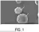 Fig. 02 - CELLULOSE ACYLATE COMPOSITION AND PRODUCTION METHOD THEREFOR