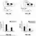 Fig. 07 - Compositions and methods for improved malonyl-CoA biosynthesis using 2-stage dynamic metabolic control