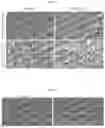 Fig. 02 - EX-VIVO CULTURE SYSTEM AND METHODS OF USING SAME