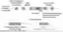 Fig. 01 - SPLICE-SWITCHING OLIGONUCLEOTIDES AND METHODS OF USE