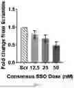 Fig. 04 - SPLICE-SWITCHING OLIGONUCLEOTIDES AND METHODS OF USE