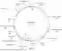 Fig. 02 - VIRAL VECTOR-BASED GENE THERAPY FOR OCULAR CONDITIONS