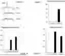 Fig. 03 - POLYAMINE ANALOG PRODUCING YEASTS