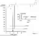 Fig. 09 - POLYAMINE ANALOG PRODUCING YEASTS