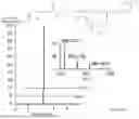 Fig. 13 - POLYAMINE ANALOG PRODUCING YEASTS