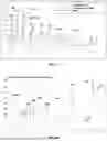 Fig. 12 - RESISTANT-ISOMALTO-OLIGOSACCHARIDE (IMO-R)