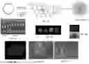Fig. 02 - PROGRAMMED DNA-DRIVEN SELF-ASSEMBLED RNA HYDROGEL