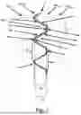 Fig. 02 - Thread of a Screw Connection Between a First Module and a Second Module