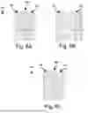 Fig. 07 - Thread of a Screw Connection Between a First Module and a Second Module
