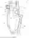 Fig. 07 - Archery Bow Riser and Related Apparatuses