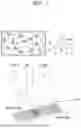 Fig. 02 - HYDROGEL-BASED STAMPING FOR SOLUTION-FREE BLOOD CELL STAINING