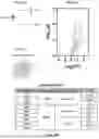 Fig. 49 - HUMAN ENGINEERED CARDIAC TISSUE PLATFORM