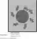 Fig. 01 - ENZYME-CONJUGATED MAGNETIC BEADS SUSPENDED IN INTERNAL STANDARD BUFFER