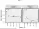 Fig. 06 - SYSTEMS AND METHODS FOR MEASURING CELL SIGNALING PROTEIN ACTIVITY