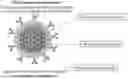 Fig. 01 - NANOSTRUCTURE FOR DETECTING VIRUSES CONTAINING AMPHIPATHIC POLYMER AND DIAGNOSTIC PLATFORM USING THE SAME