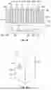 Fig. 06 - THERMAL HEAD COMPRISING A PLURALITY OF ADAPTERS FOR INDEPENDENT THERMAL CONTROL OF ZONES