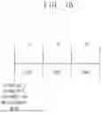 Fig. 14 - DISPLAY APPARATUS