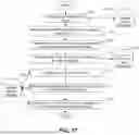 Fig. 29 - SYSTEMS, DEVICES, AND METHODS FOR NON-INVASIVE IMAGE-BASED PLAQUE ANALYSIS AND RISK DETERMINATION