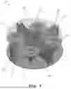 Fig. 05 - ANTENNA AND ANTENNA SYSTEM
