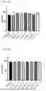 Fig. 02 - COMPOSITION FOR NK CELL CRYOPRESERVATION AND CRYOPRESERVATION FORMULATION COMPRISING SAME