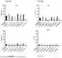 Fig. 07 - COMPOSITION FOR NK CELL CRYOPRESERVATION AND CRYOPRESERVATION FORMULATION COMPRISING SAME
