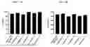 Fig. 08 - COMPOSITION FOR NK CELL CRYOPRESERVATION AND CRYOPRESERVATION FORMULATION COMPRISING SAME