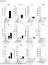 Fig. 12 - COMPOSITION FOR NK CELL CRYOPRESERVATION AND CRYOPRESERVATION FORMULATION COMPRISING SAME