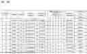 Fig. 02 - COMBINED PHARMACEUTICAL PREPARATION FOR TREATING A TERMINAL NON-SMALL CELL LUNG CANCER PATIENT WITH BRAIN METASTASIS