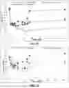 Fig. 20 - METHODS FOR REDUCING INTRAOCULAR PRESSURE