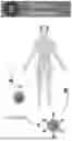 Fig. 01 - NEUROPROTECTIVE COMPOSITIONS AND METHODS