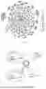 Fig. 05 - NEUROPROTECTIVE COMPOSITIONS AND METHODS