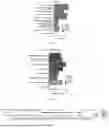 Fig. 15 - NEUROPROTECTIVE COMPOSITIONS AND METHODS