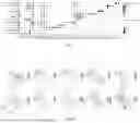 Fig. 21 - NEUROPROTECTIVE COMPOSITIONS AND METHODS