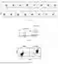 Fig. 23 - NEUROPROTECTIVE COMPOSITIONS AND METHODS