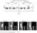 Fig. 26 - NEUROPROTECTIVE COMPOSITIONS AND METHODS