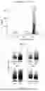 Fig. 28 - NEUROPROTECTIVE COMPOSITIONS AND METHODS