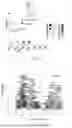 Fig. 31 - NEUROPROTECTIVE COMPOSITIONS AND METHODS