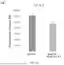 Fig. 06 - alpha-SYNUCLEIN AGGREGATION INHIBITOR, PHARMACEUTICAL COMPOSITION FOR alpha-SYNUCLEIN DISEASE, AND USE THEREOF