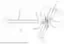 Fig. 01 - Arterial sheath which allows distal perfusion within a cannulated vessel