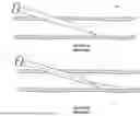 Fig. 02 - SYSTEMS AND METHODS FOR ACCESSING SMALL ARTERIES FOR CONVEYING CATHETERS TO TARGET VESSELS