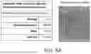 Fig. 07 - METHODS FOR BETTER DELIVERY OF ACTIVE AGENTS TO TUMORS