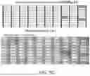 Fig. 09 - METHODS FOR BETTER DELIVERY OF ACTIVE AGENTS TO TUMORS