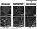 Fig. 11 - METHODS FOR BETTER DELIVERY OF ACTIVE AGENTS TO TUMORS