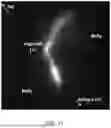 Fig. 15 - METHODS FOR BETTER DELIVERY OF ACTIVE AGENTS TO TUMORS
